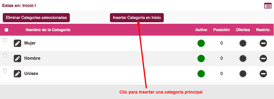 insertar categoria